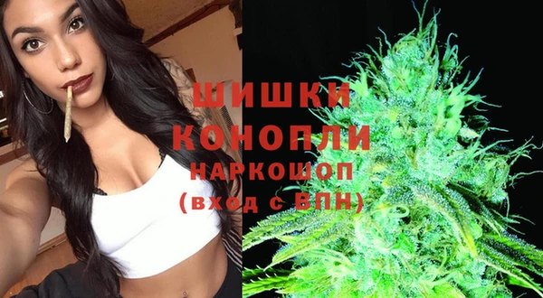 молекула духа Алзамай