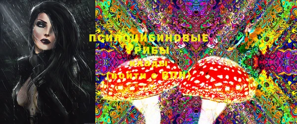 молекула духа Алзамай