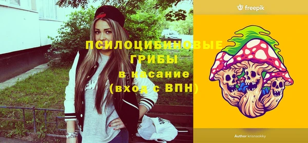 молекула духа Алзамай