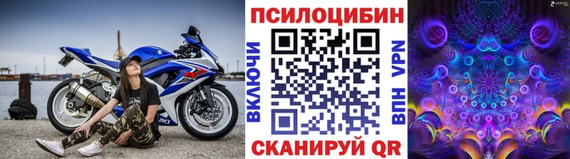hydra как зайти  Далматово  мориарти наркотические препараты  даркнет сайт  Галлюциногенные грибы мицелий 